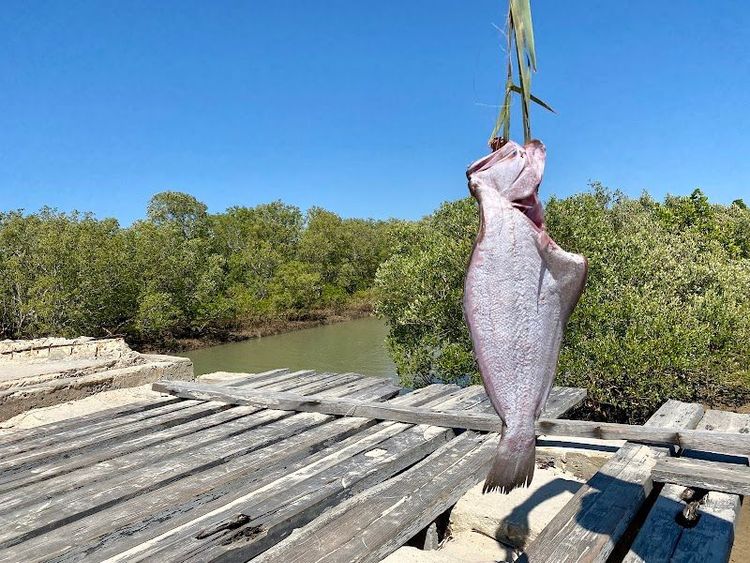 Kimony Beach Morondava - Morondava - Madagascar - Booked ai