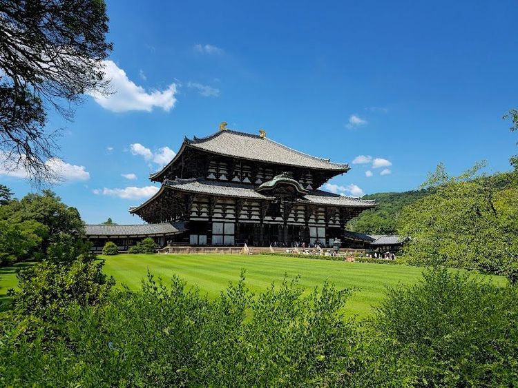 Nara Park - Nara - Japan - Booked ai