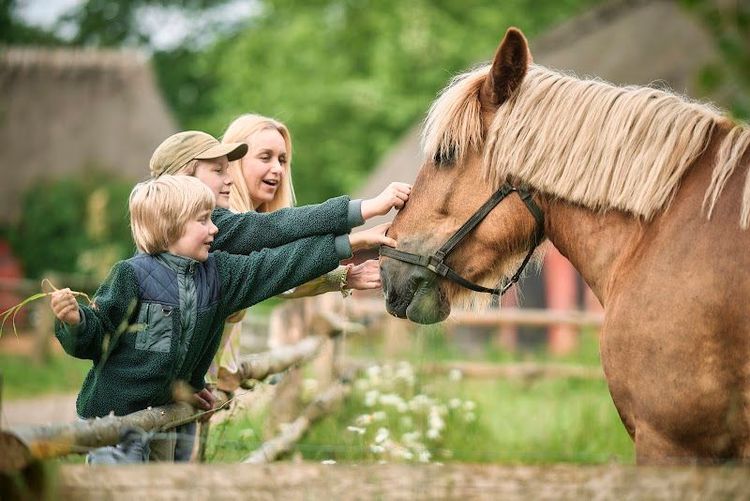 The Funen Village - Odense - Denmark - Booked ai
