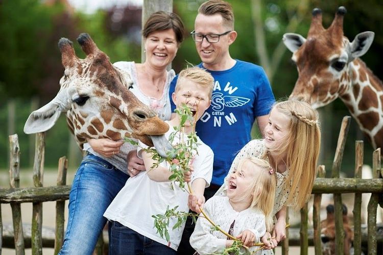 Odense Zoo - Odense - Denmark - Booked ai