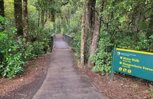 Mangawhero Forest Walk - Ohakune - New Zealand - Booked ai