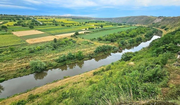 Raut - Raut - Moldova - Booked ai