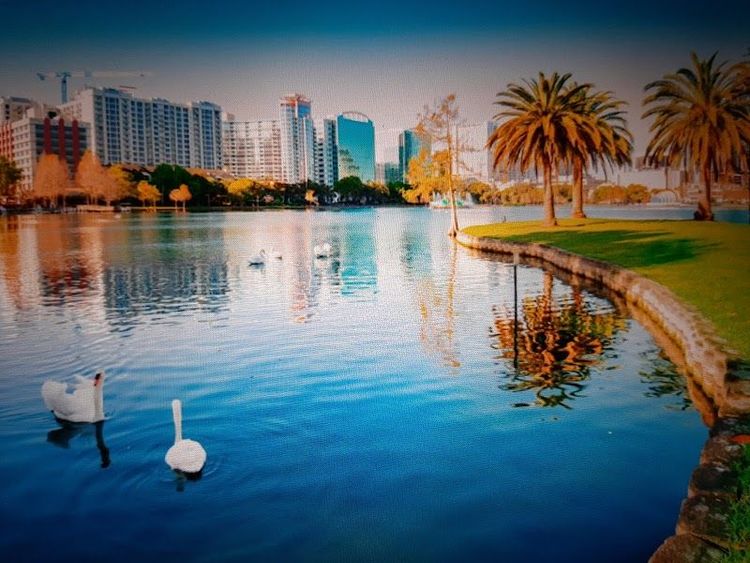 Orlando - Orlando - USA - Booked ai