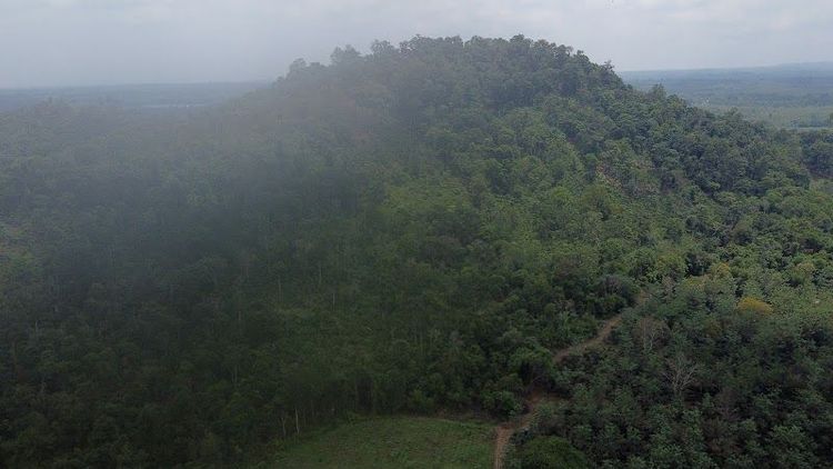 Bolaven Plateau - Pakse - Laos - Booked ai