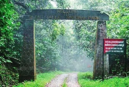 Silent Valley National Park - Kerala - India - Booked ai