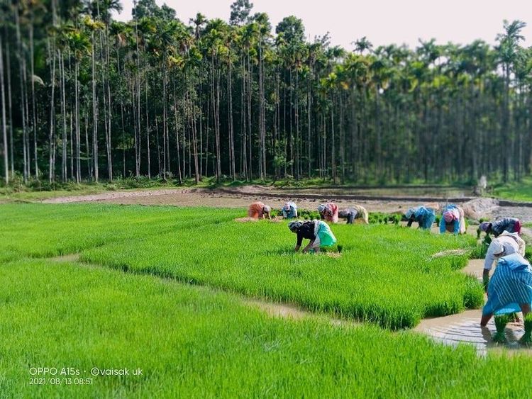 Palakkad - Palakkad - India - Booked ai