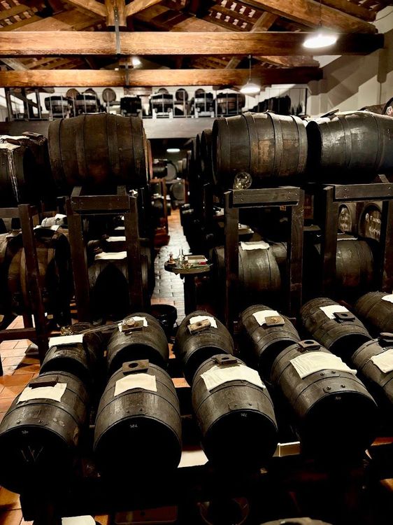 Parmalook | Food Tour Experience - Ponte Taro - Italy - Booked ai