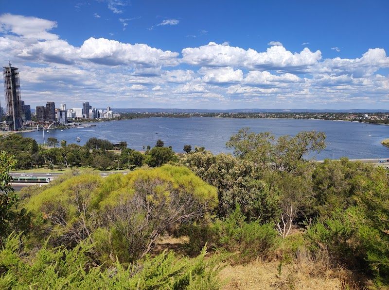 Kings Park - Perth - Australia - Booked ai