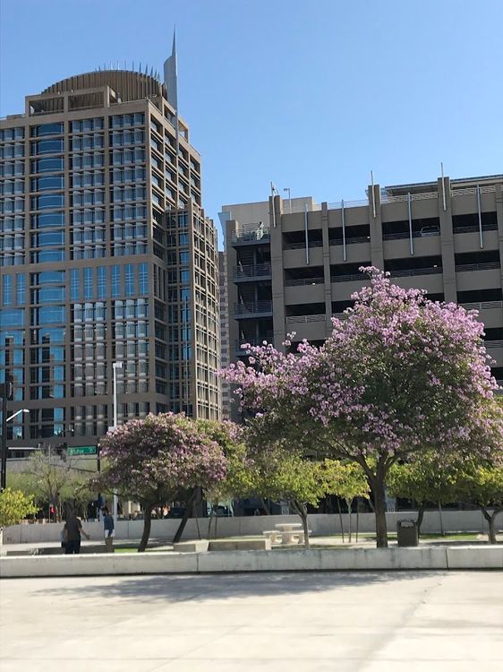 Phoenix - Phoenix - USA - Booked ai