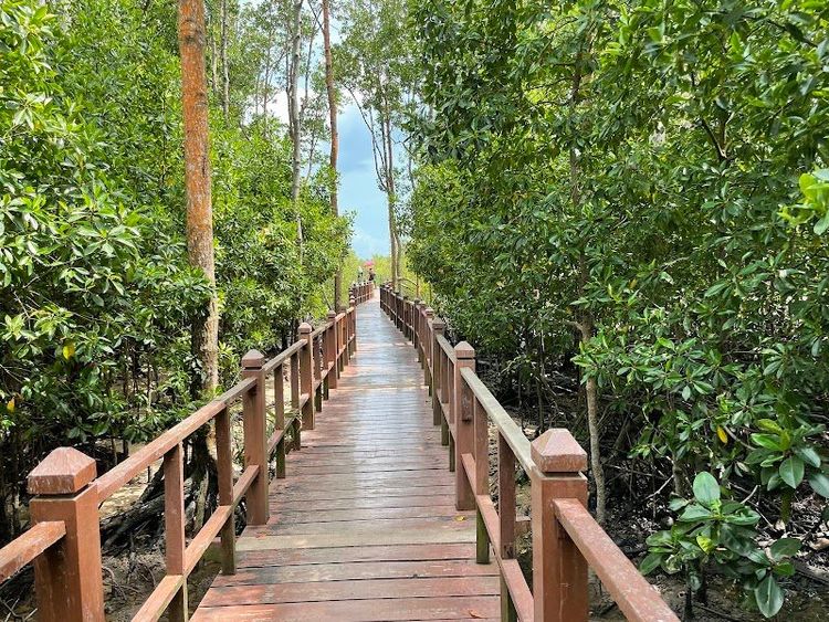 Taman Negara Johor Tanjung Piai - Kukup - Malaysia - Booked ai