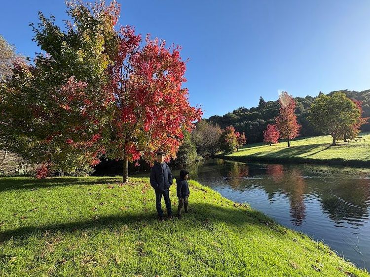 Ernie's Reserve - Pukekohe - New Zealand - Booked ai