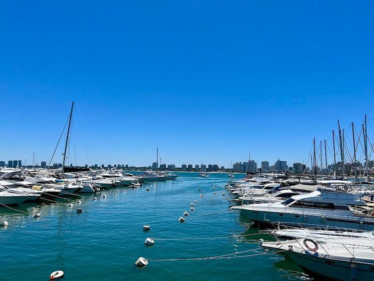 Puerto de Punta del Este - Punta del Este - Uruguay - Booked ai
