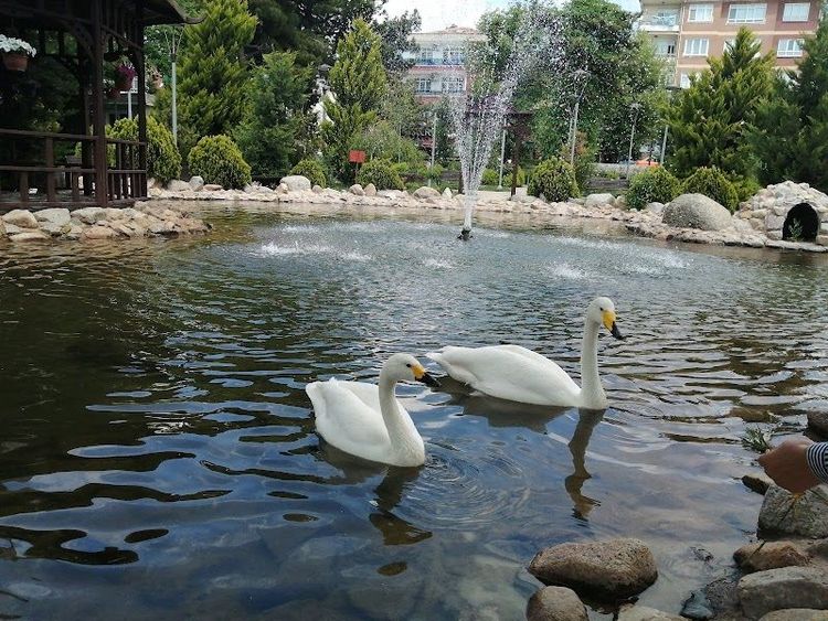 Kırıkkale Şehitler Parkı - Kırıkkale - Turkey - Booked ai