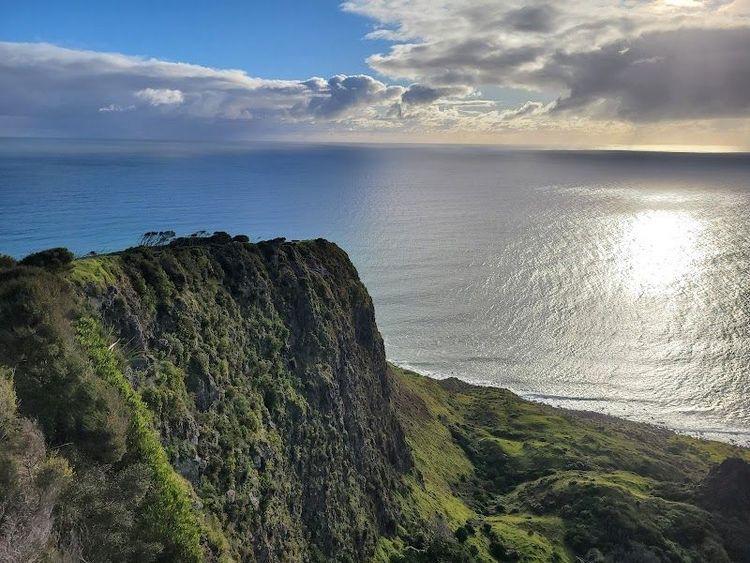 Te Toto Gorge Lookout - Raglan - New Zealand - Booked ai