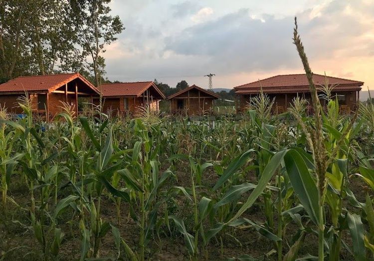 Baran Organik Yaşam Çiftliği - Pazaryeri - Turkey - Booked ai