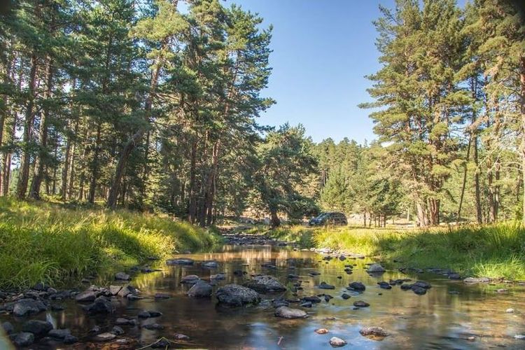 Holiday in Bolu, Turkey - Booked ai