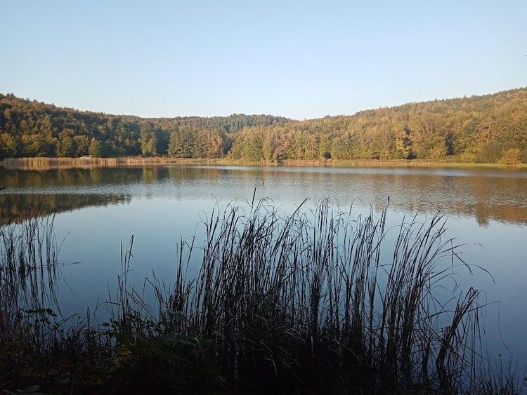 Korugöl Nature Park - Düzce - Türkiye - Booked ai