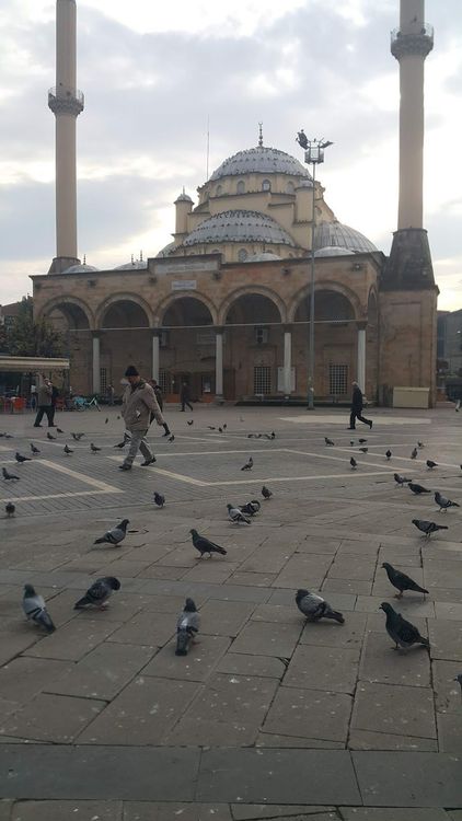 Holiday in Duzce, Turkey - Booked ai