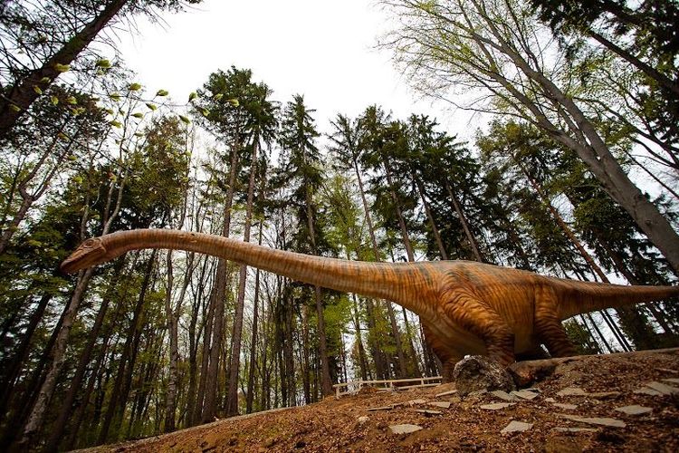 Dino Parc Râșnov - Râșnov - Romania - Booked ai