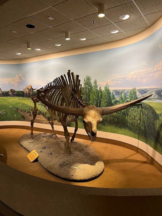 Royal Saskatchewan Museum - Regina - Canada - Booked ai