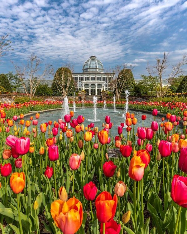 Lewis Ginter Botanical Garden - Henrico - USA - Booked ai