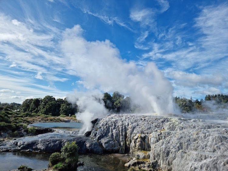 Te Puia - Rotorua, NZ - Rotorua - New Zealand - Booked ai