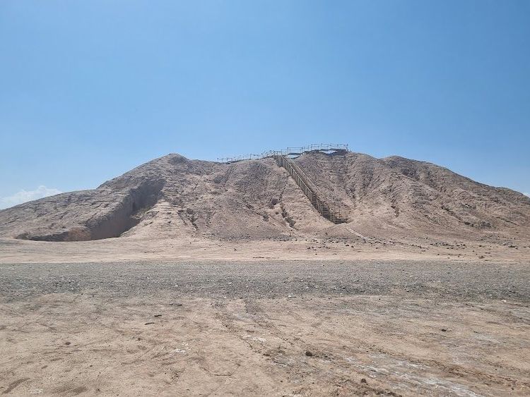 Konar Sandal - Jiroft - Iran - Booked ai