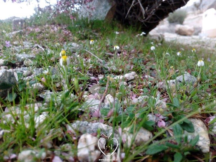 Holiday in Jiroft, Iran - Booked ai