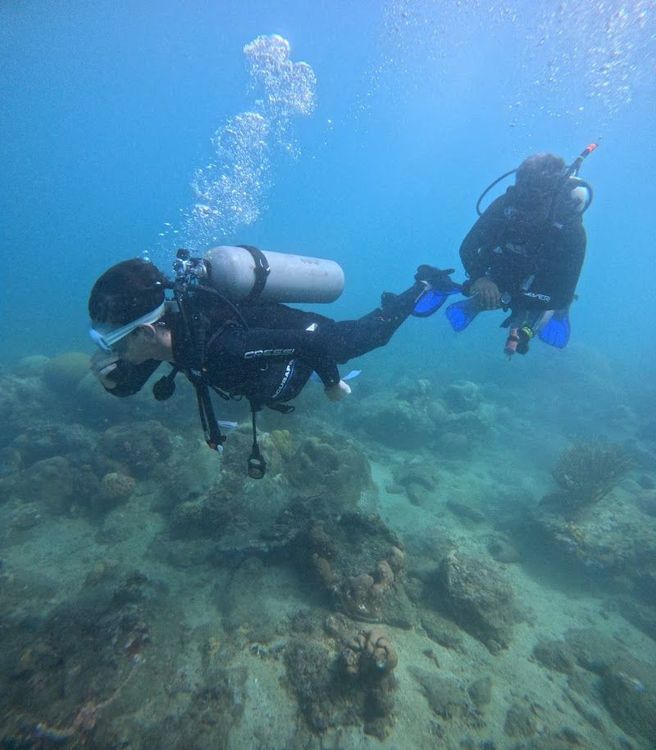 Santa Marta Dive and Adventure - Santa Marta - Colombia - Booked ai