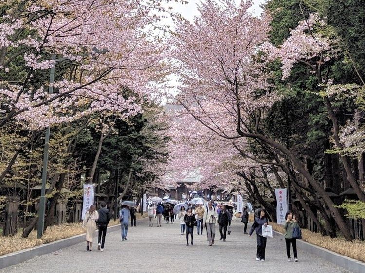 Maruyama Park - Sapporo - Japan - Booked ai
