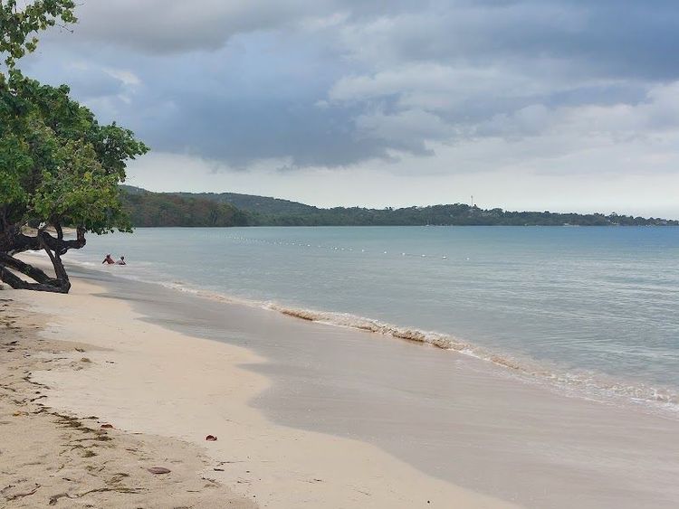 Bluefields Beach - Bluefields - Jamaica - Booked ai