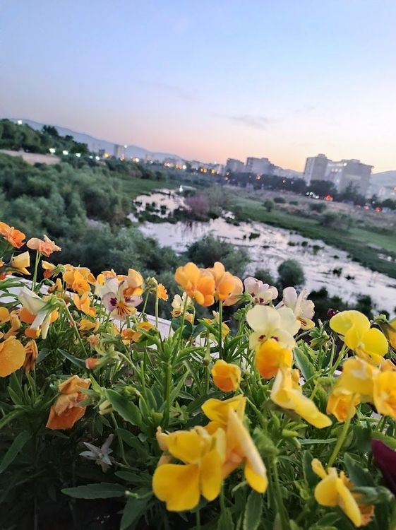 Holiday in Saqqez, Iran - Booked ai