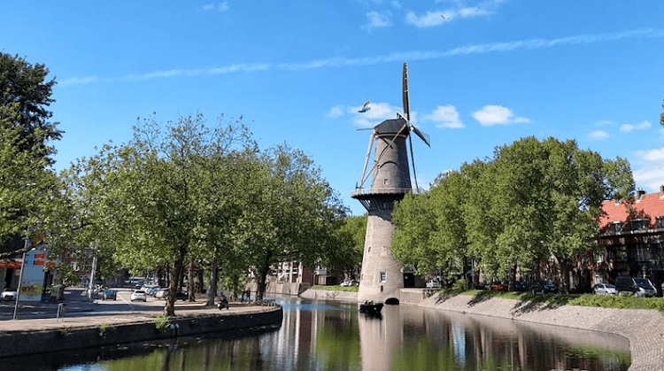 Museummolen De Walvisch - Schiedam - Netherlands - Booked ai