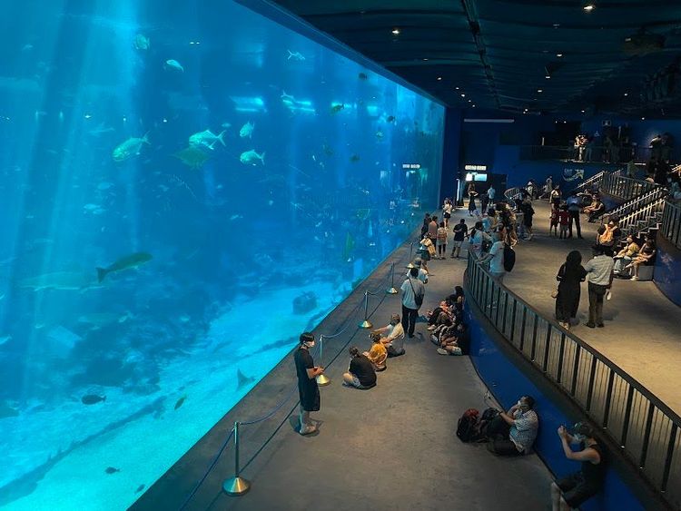 Singapore Oceanarium - Singapore - Singapore - Booked ai