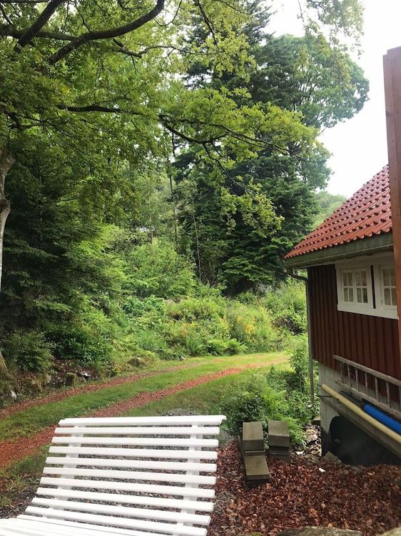 Mirqader Garden - Behbahan - Iran - Booked ai