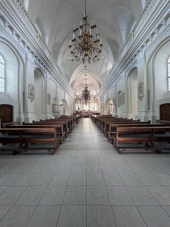 Saint Cathedral of the Apostles Peter and Paul - Šiauliai - Lithuania - Booked ai