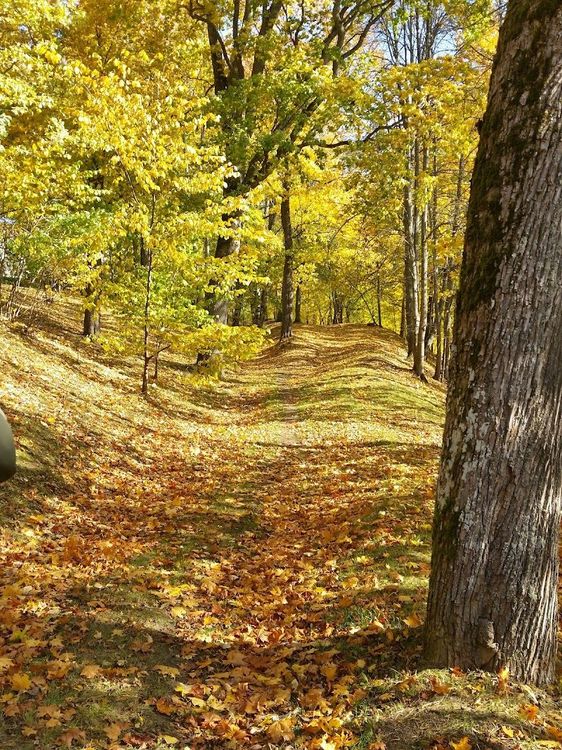 Jaunais parks - Smiltene - Latvia - Booked ai