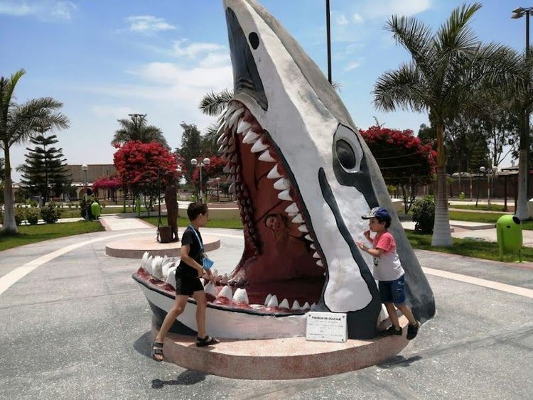 Holiday in Ica, Peru - Booked ai