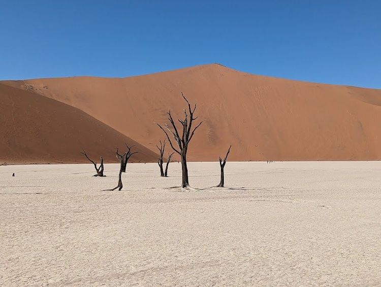 Deadvlei - Sossusvlei - Namibia - Booked ai