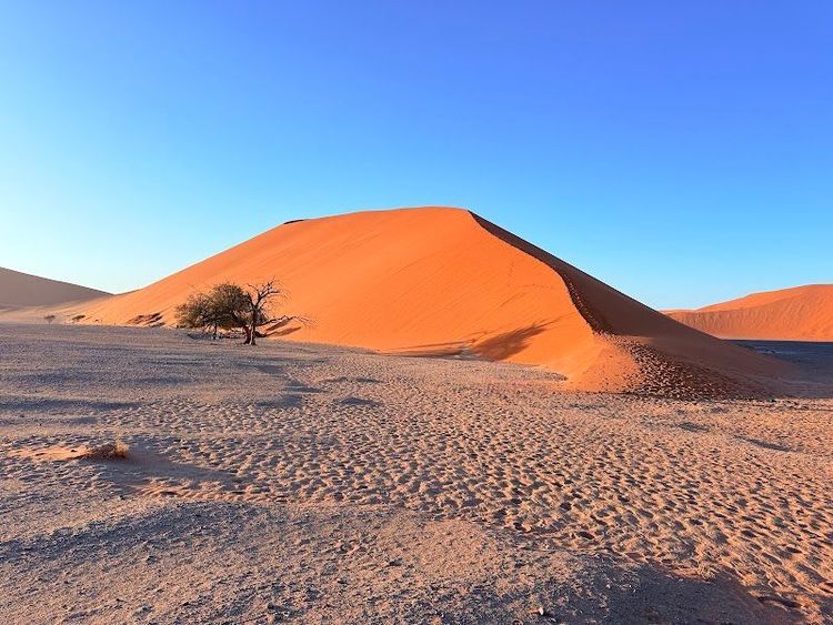 Dune 45 Sossusvlei - Sossusvlei - Namibia - Booked ai