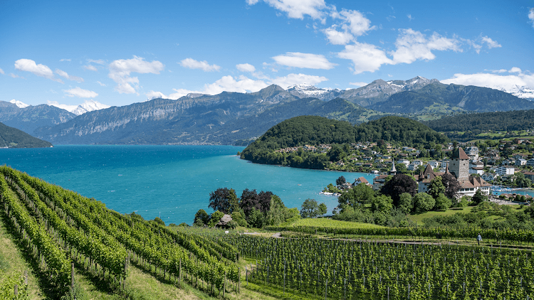 Schloss Spiez - Spiez - Switzerland - Booked ai