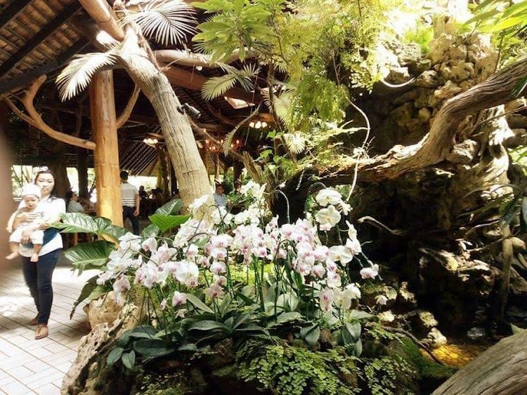 Holiday in Mae Sot, Thailand - Booked ai