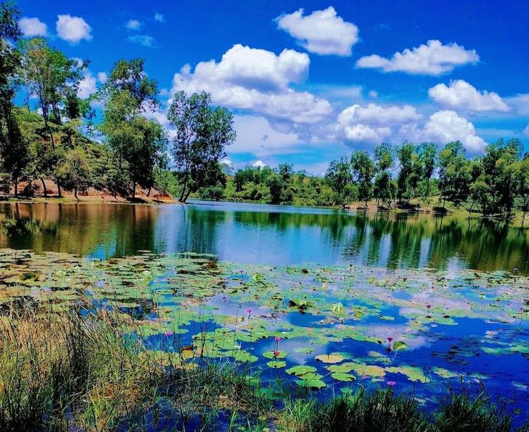 Madhabpur Lake - Bangladesh - Bangladesh - Booked ai