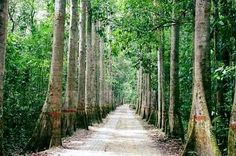 Lawachara National Park - Kamalganj - Bangladesh - Booked ai