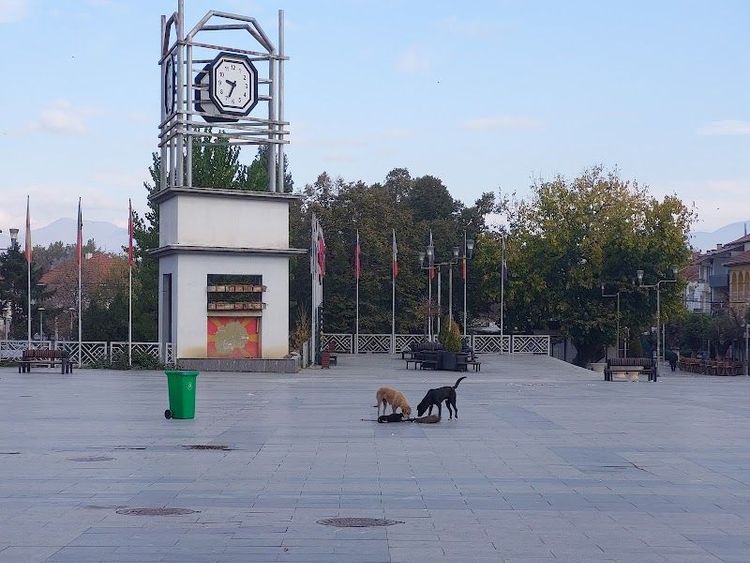 Strumica - Strumica - North Macedonia - Booked ai