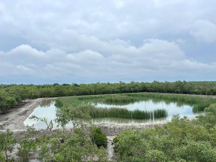 Sajnekhali Wildlife Sanctuary - Gosaba - India - Booked ai