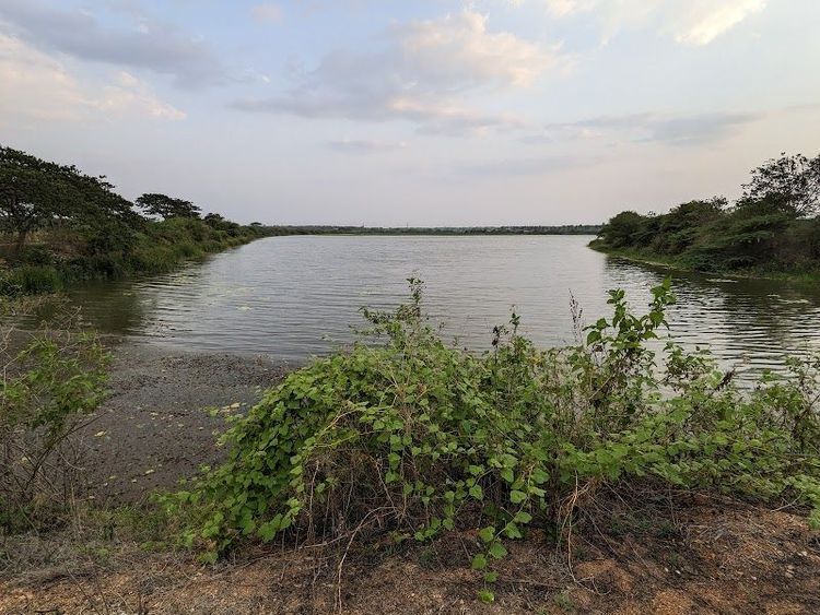 Avaragere Lake Daavanagere - Davanagere - India - Booked ai