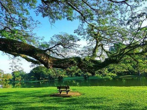 Taiping - Taiping - Malaysia - Booked ai