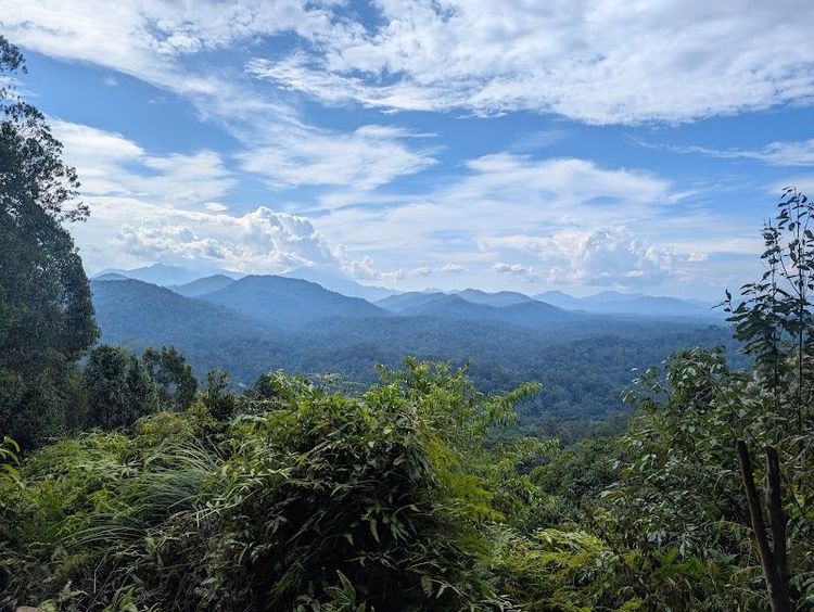 Taman Negara - Pahang - Malaysia - Booked ai