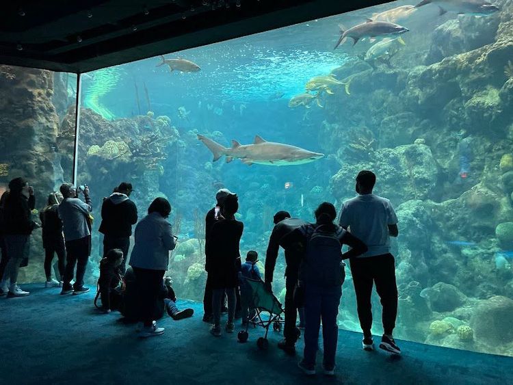 The Florida Aquarium - Tampa - USA - Booked ai